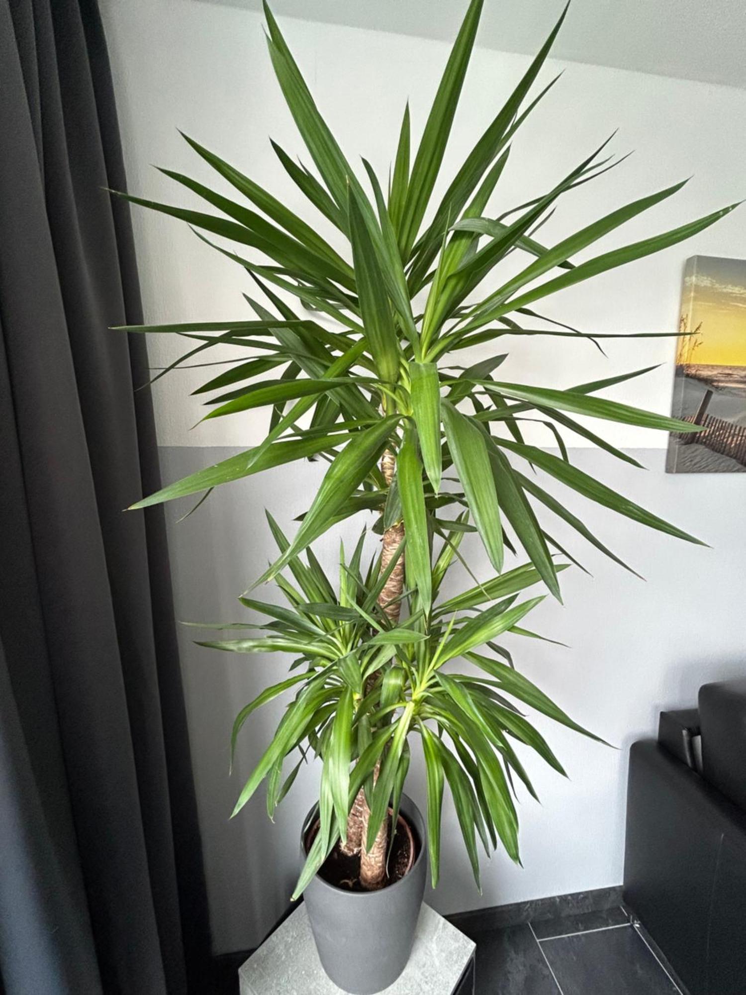 Frische Brise Ferienwohnung Mit Meerblick 库克斯港 外观 照片